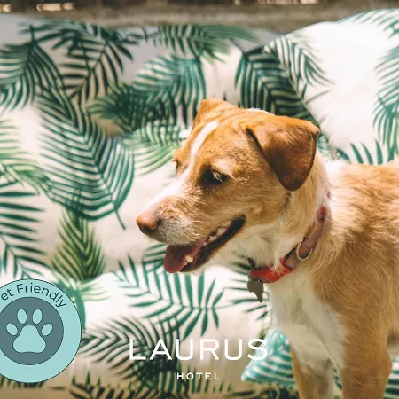 Laurus فندق