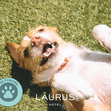 Laurus 호텔