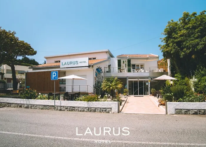 Laurus
